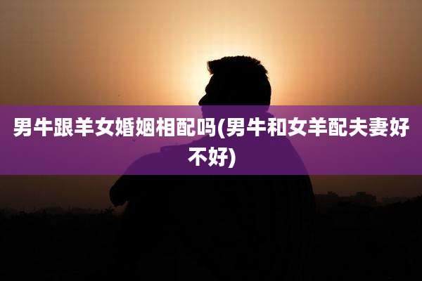 男牛跟羊女婚姻相配吗(男牛和女羊配夫妻好不好)