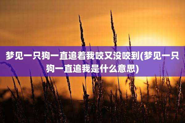 梦见一只狗一直追着我咬又没咬到(梦见一只狗一直追我是什么意思)