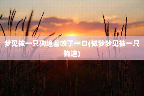 梦见被一只狗追着咬了一口(做梦梦见被一只狗追)