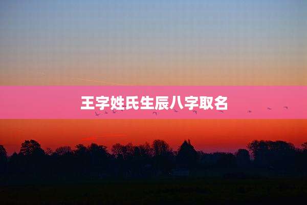 王字姓氏生辰八字取名