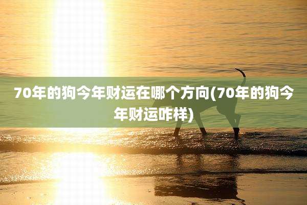 70年的狗今年财运在哪个方向(70年的狗今年财运咋样)