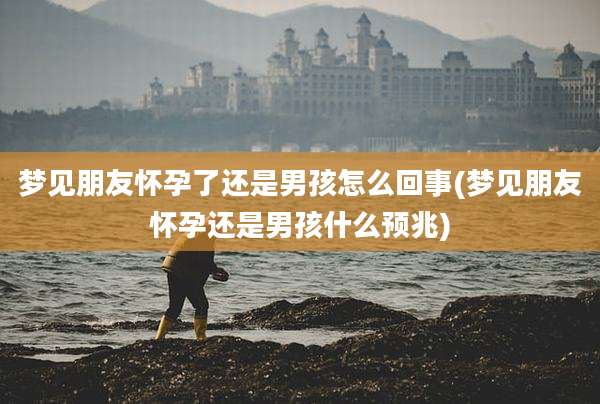 梦见朋友怀孕了还是男孩怎么回事(梦见朋友怀孕还是男孩什么预兆)