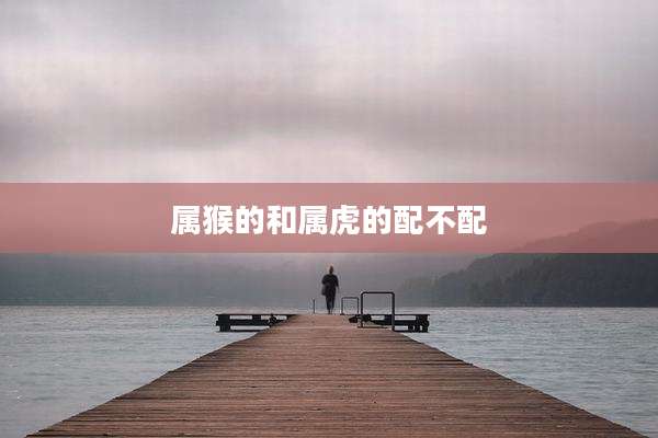 属猴的和属虎的配不配