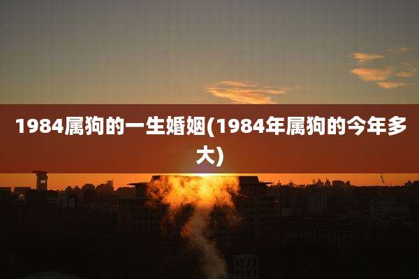 1984属狗的一生婚姻(1984年属狗的今年多大)