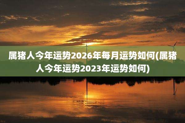 属猪人今年运势2026年每月运势如何(属猪人今年运势2023年运势如何)