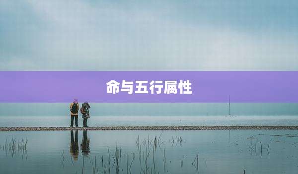 命与五行属性