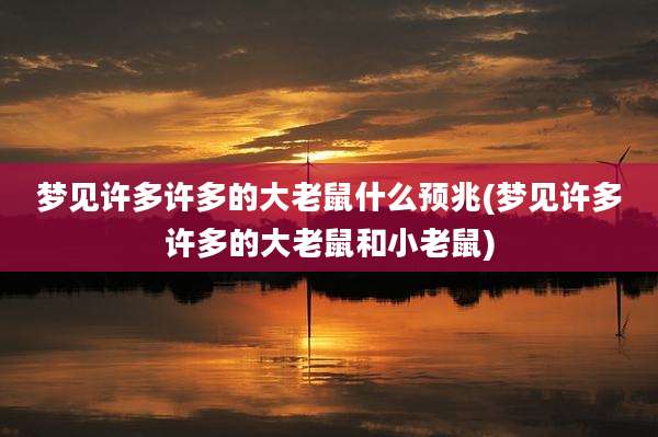 梦见许多许多的大老鼠什么预兆(梦见许多许多的大老鼠和小老鼠)