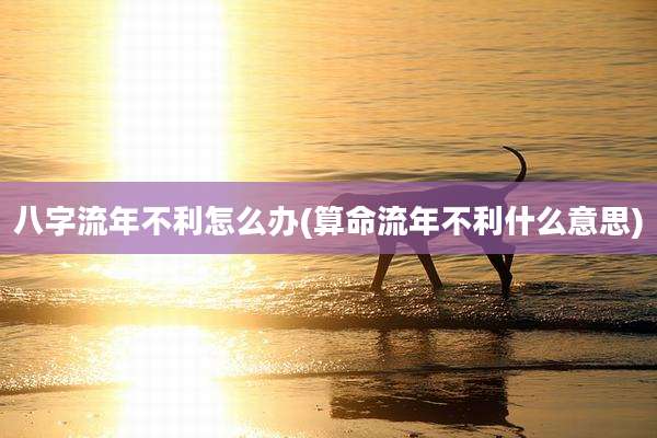八字流年不利怎么办(算命流年不利什么意思)