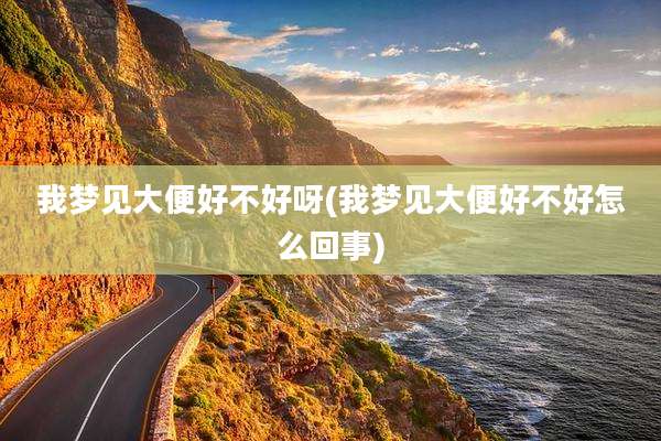 我梦见大便好不好呀(我梦见大便好不好怎么回事)
