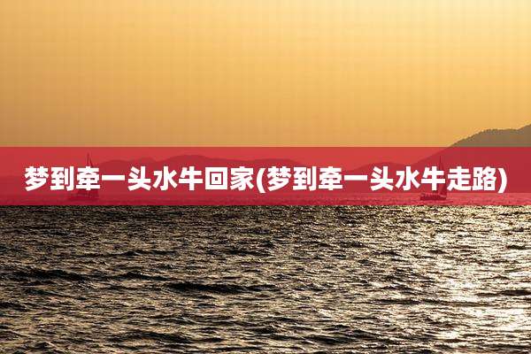梦到牵一头水牛回家(梦到牵一头水牛走路)