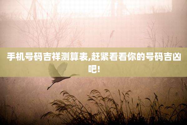 手机号码吉祥测算表,赶紧看看你的号码吉凶吧!