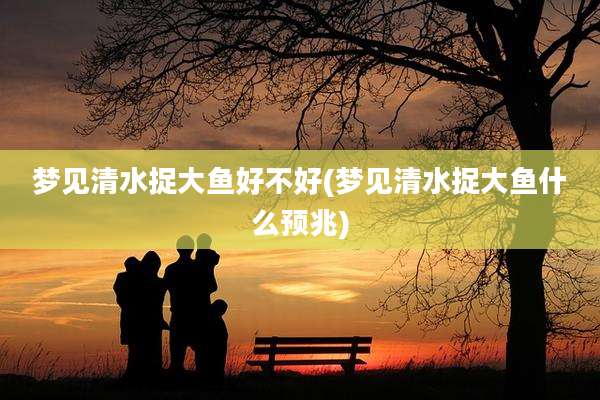 梦见清水捉大鱼好不好(梦见清水捉大鱼什么预兆)