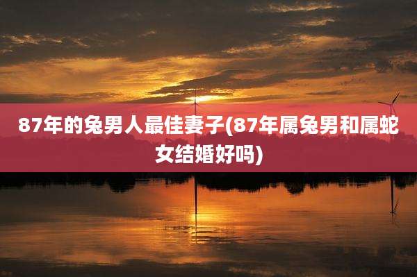 87年的兔男人最佳妻子(87年属兔男和属蛇女结婚好吗)