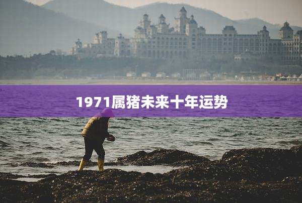 1971属猪未来十年运势