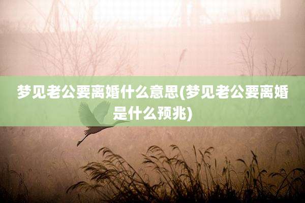 梦见老公要离婚什么意思(梦见老公要离婚是什么预兆)