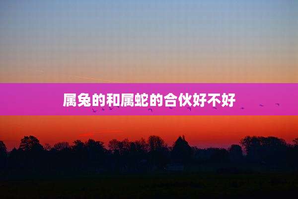 属兔的和属蛇的合伙好不好