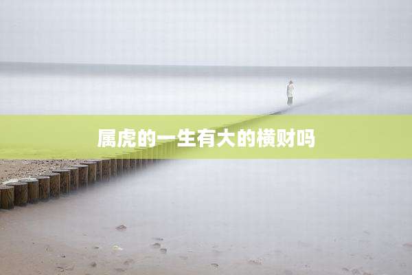 属虎的一生有大的横财吗