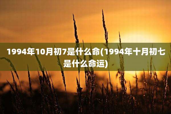 1994年10月初7是什么命(1994年十月初七是什么命运)