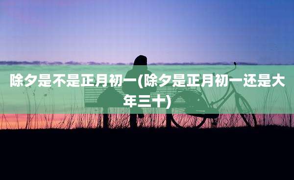 除夕是不是正月初一(除夕是正月初一还是大年三十)
