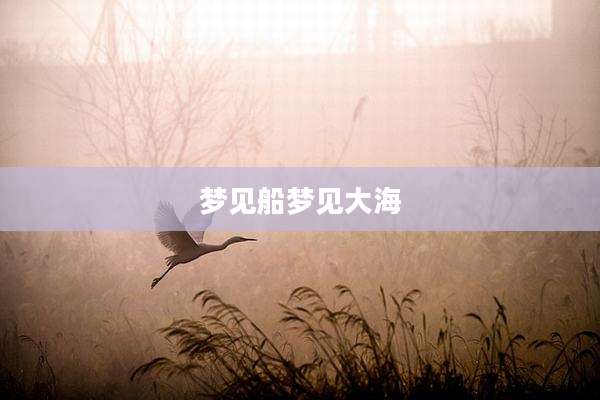 梦见船梦见大海