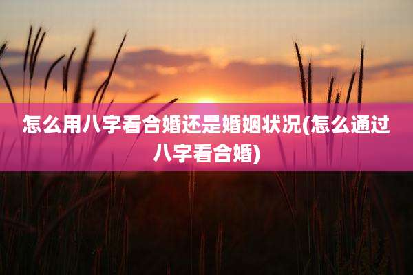 怎么用八字看合婚还是婚姻状况(怎么通过八字看合婚)