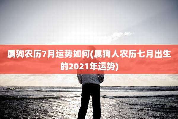 属狗农历7月运势如何(属狗人农历七月出生的2021年运势)