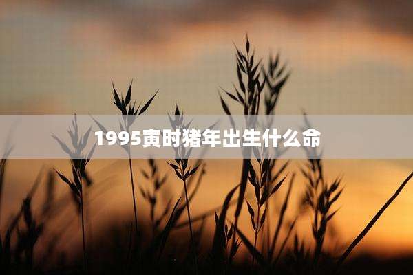 1995寅时猪年出生什么命