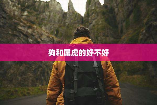 狗和属虎的好不好
