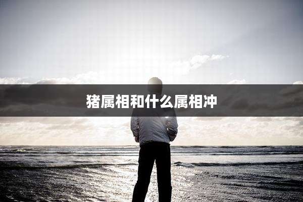 猪属相和什么属相冲