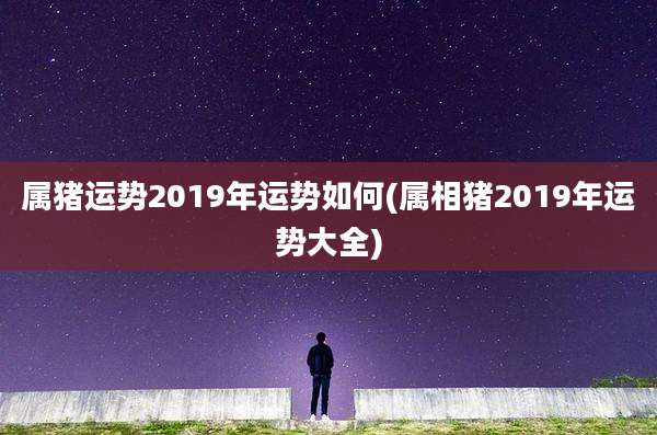 属猪运势2019年运势如何(属相猪2019年运势大全)