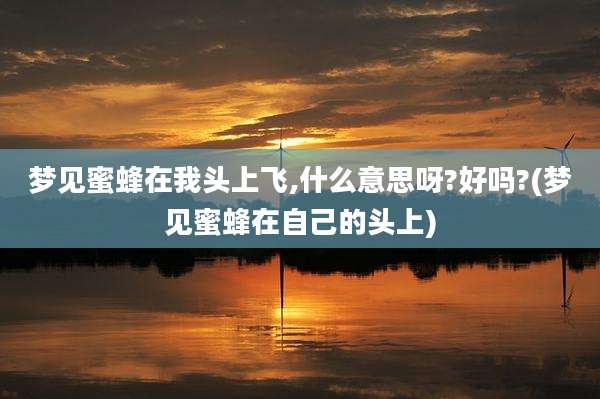 梦见蜜蜂在我头上飞,什么意思呀?好吗?(梦见蜜蜂在自己的头上)