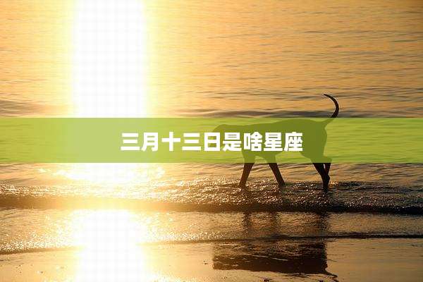 三月十三日是啥星座