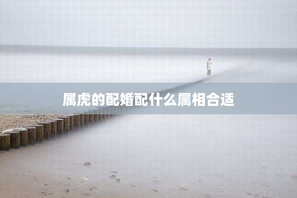 属虎的配婚配什么属相合适