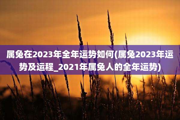 属兔在2023年全年运势如何(属兔2023年运势及运程_2021年属兔人的全年运势)