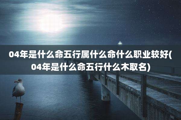 04年是什么命五行属什么命什么职业较好(04年是什么命五行什么木取名)