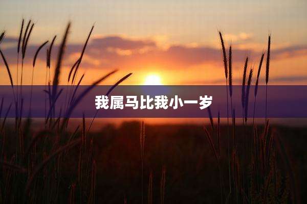 我属马比我小一岁