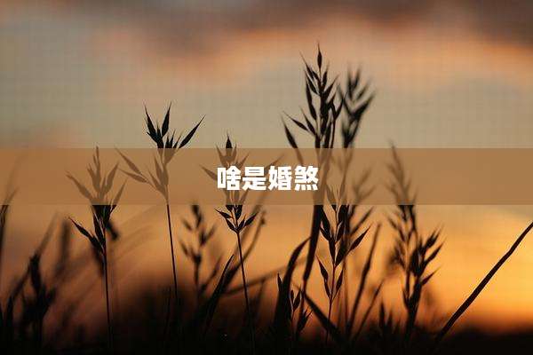 啥是婚煞