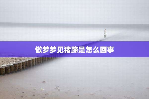 做梦梦见猪蹄是怎么回事