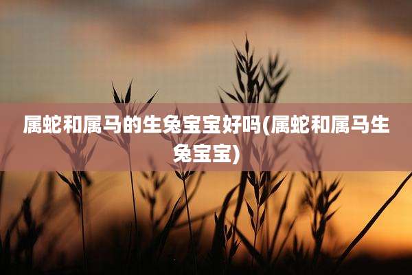 属蛇和属马的生兔宝宝好吗(属蛇和属马生兔宝宝)