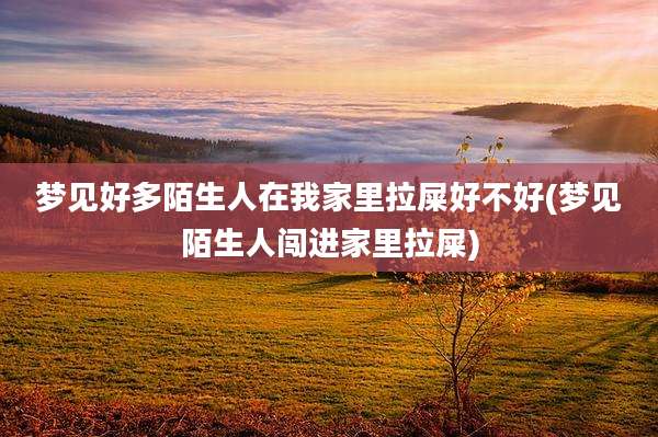 梦见好多陌生人在我家里拉屎好不好(梦见陌生人闯进家里拉屎)