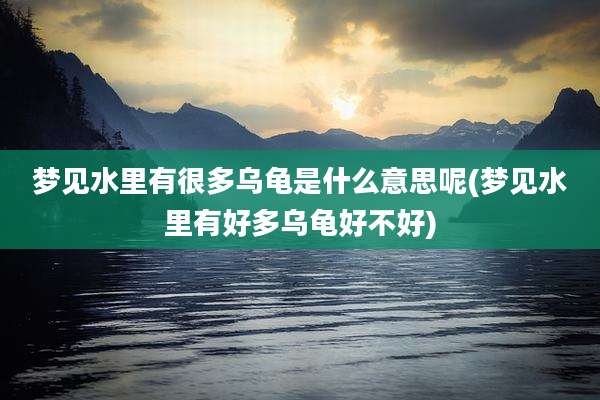 梦见水里有很多乌龟是什么意思呢(梦见水里有好多乌龟好不好)