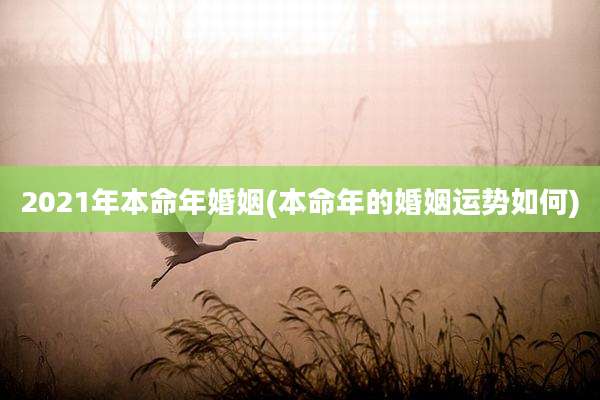 2021年本命年婚姻(本命年的婚姻运势如何)