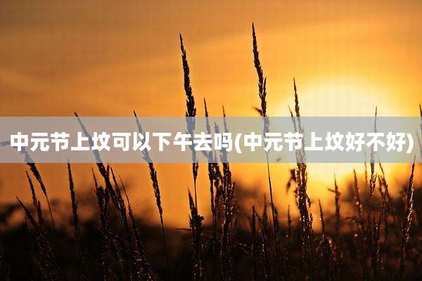 中元节上坟可以下午去吗(中元节上坟好不好)
