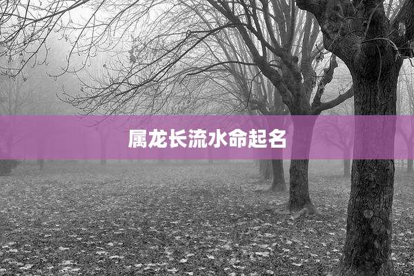 属龙长流水命起名