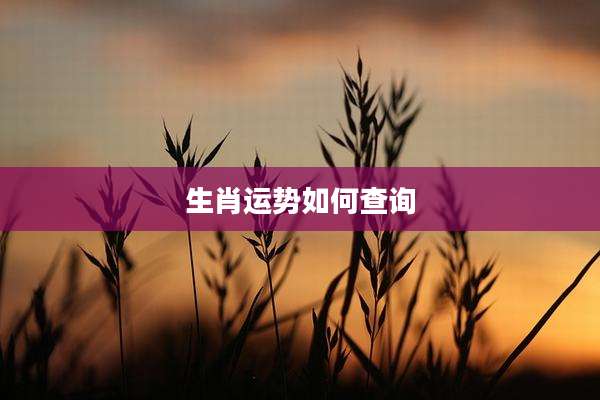 生肖运势如何查询