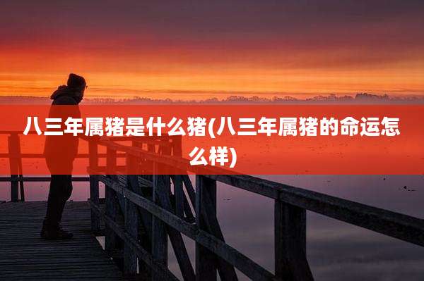 八三年属猪是什么猪(八三年属猪的命运怎么样)