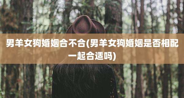 男羊女狗婚姻合不合(男羊女狗婚姻是否相配一起合适吗)