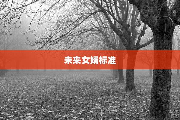 未来女婿标准