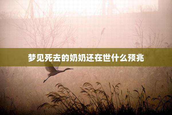 梦见死去的奶奶还在世什么预兆