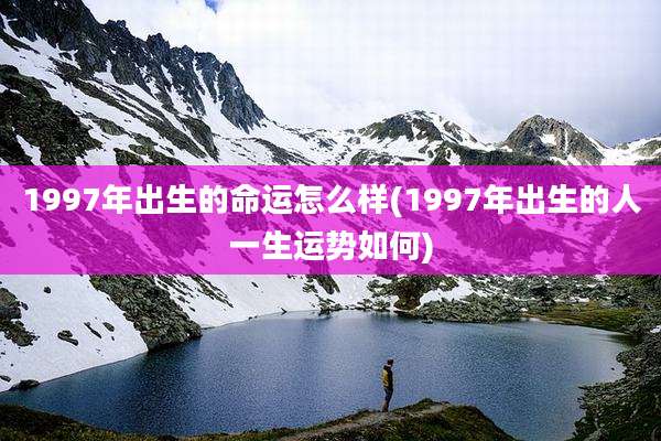 1997年出生的命运怎么样(1997年出生的人一生运势如何)